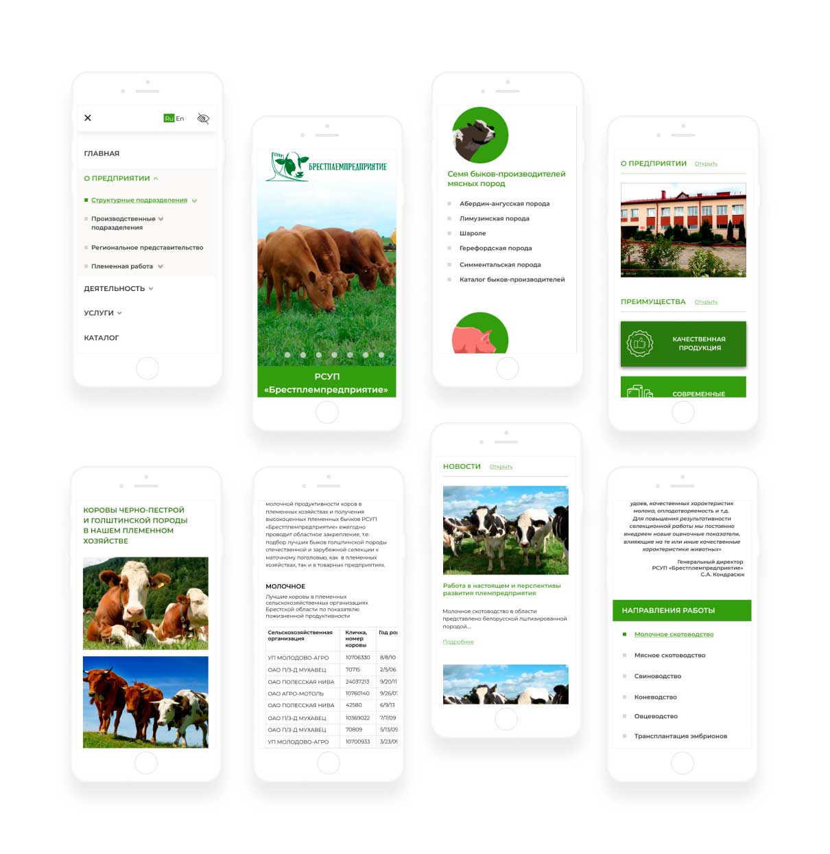 Создание сайта для предприятия занимающегося животноводством - мобильная 