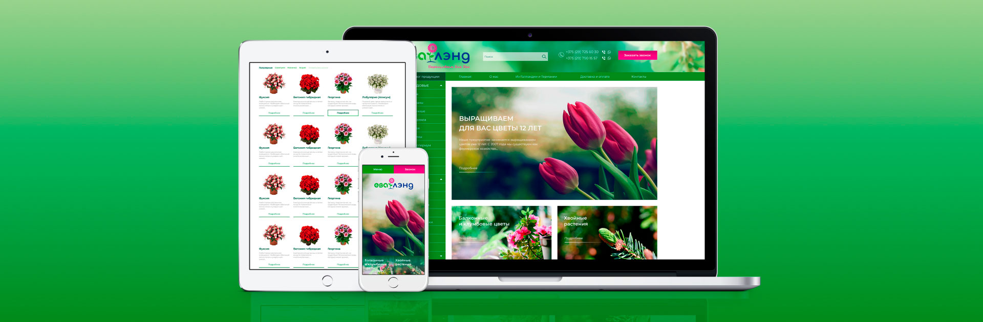 Создание сайта для предприятия продающего декоративные растения