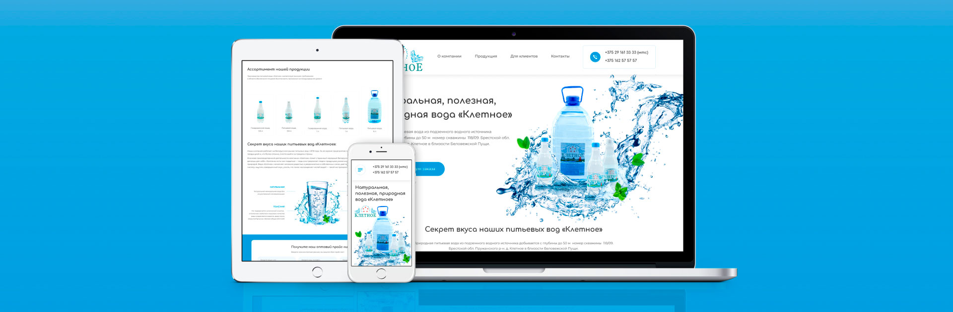 Сайт по продаже артезианской воды
